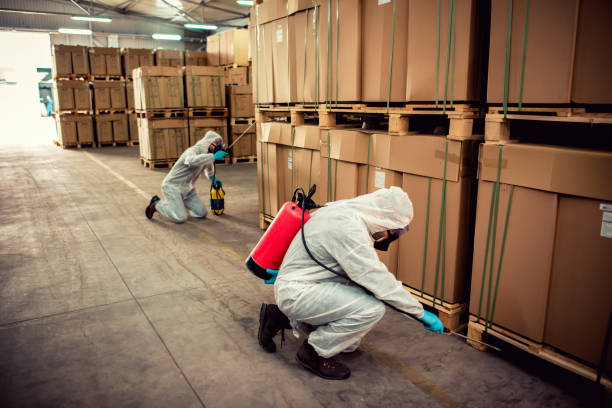 Best Pest Control for Businesses  in Grand Rapids, MN