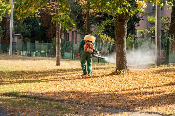 Best Residential Pest Control  in Grand Rapids, MN