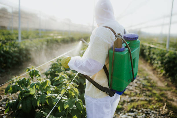 Best Insect Control  in Grand Rapids, MN